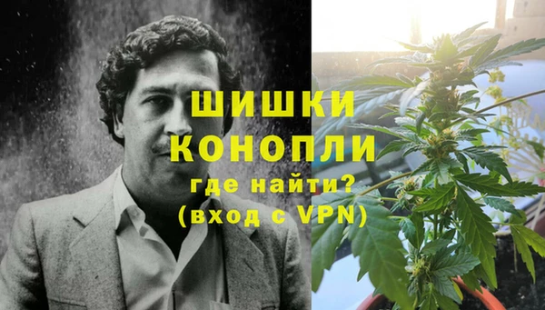 молекула духа Бугульма