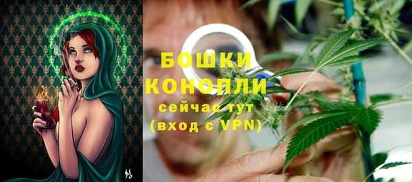 молекула духа Бугульма